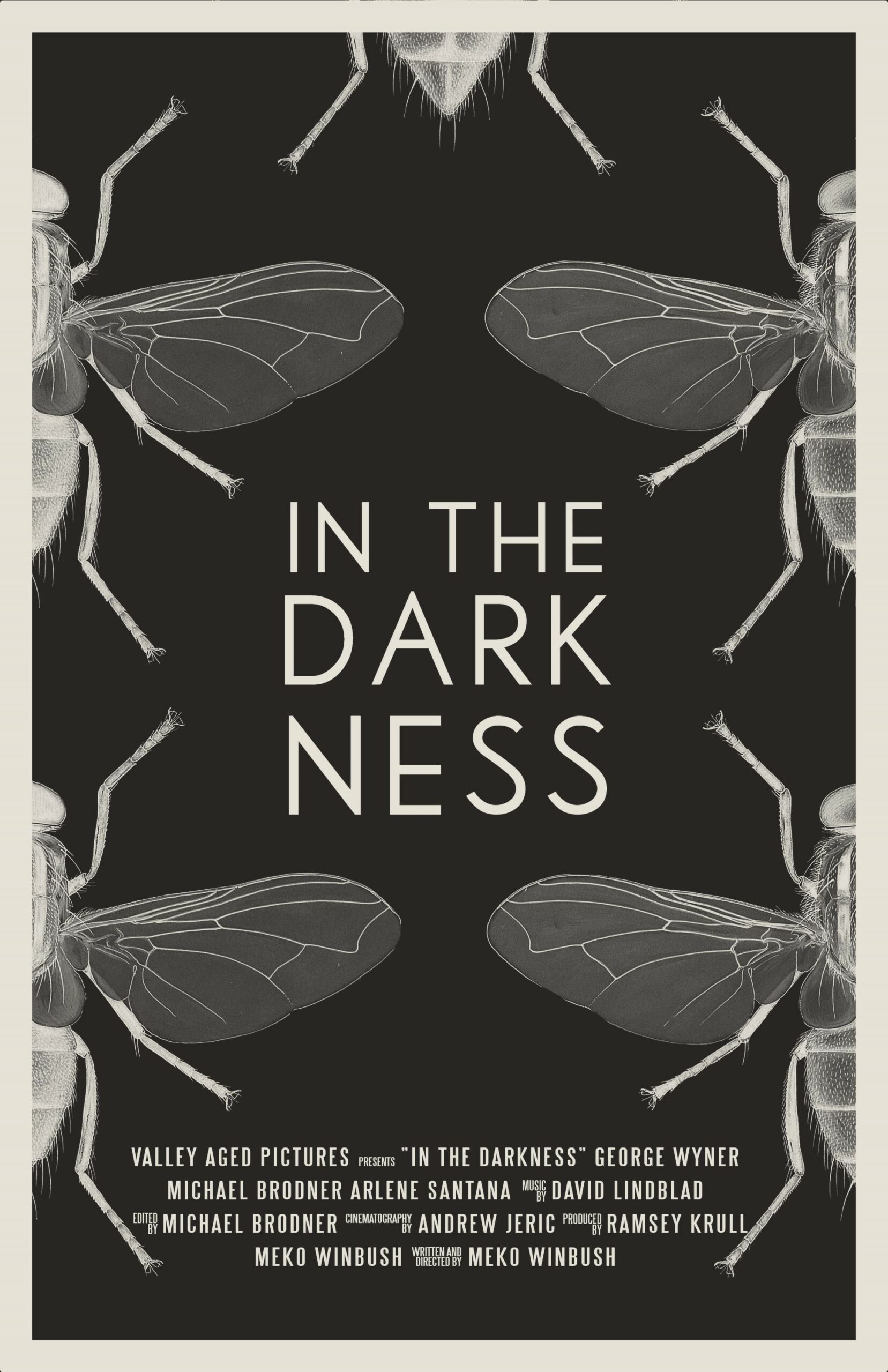 In the Darkness – short film poster