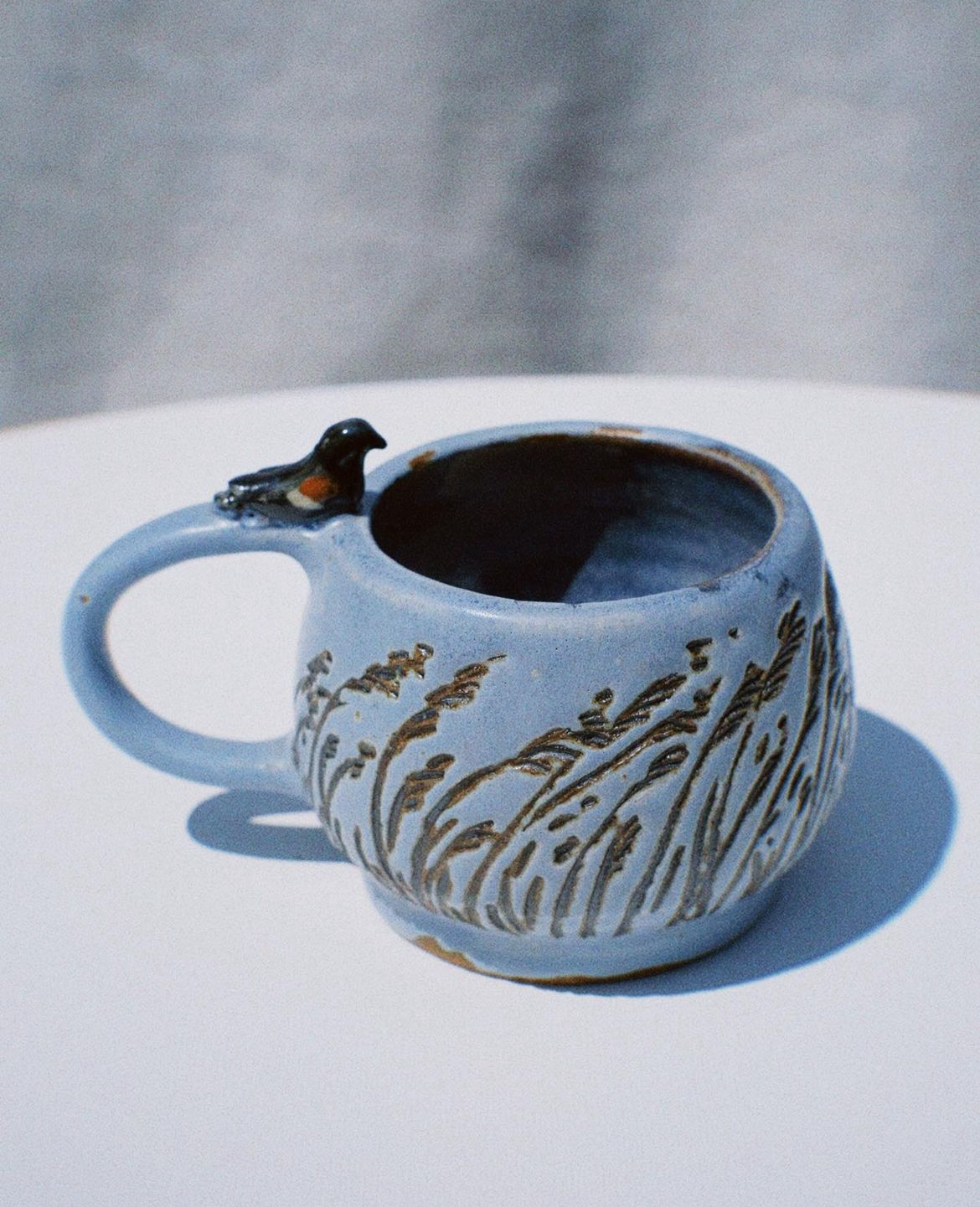 Red-Wing Blackbird Mug